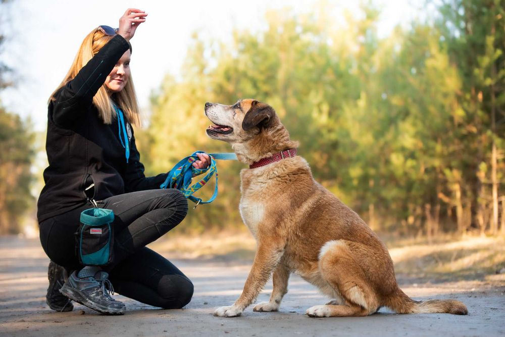 energiczna i mądra MELINDA