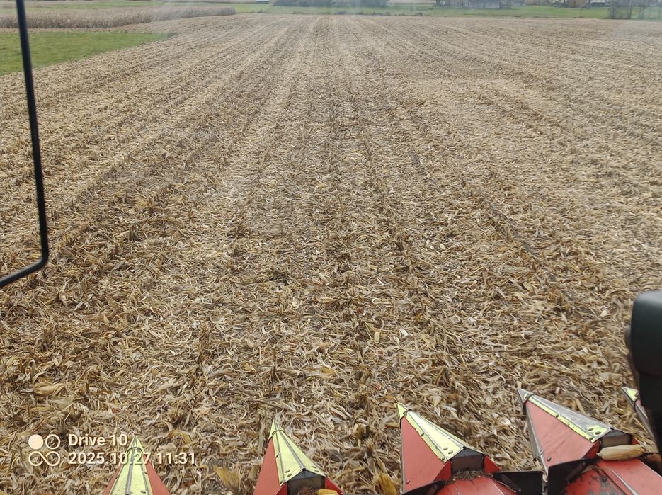 Heder Olimac drago 8 Claas lexion