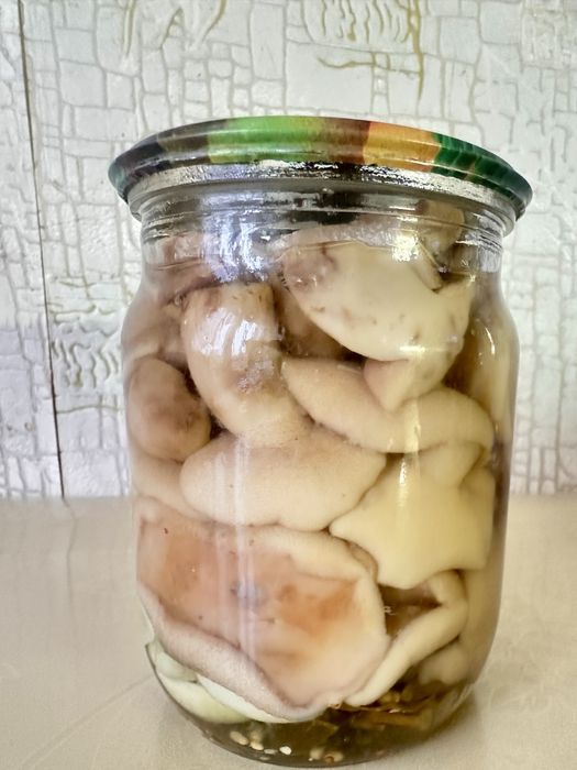 Консервированые грибы