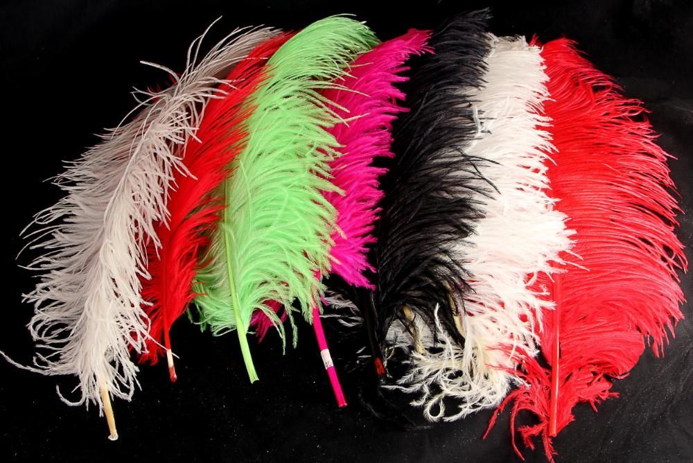 Аренда, продажа перьев страуса