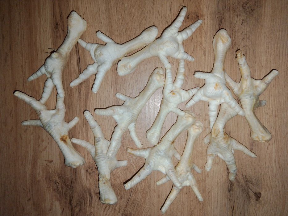 12 szt kurze łapki  dla psa przysmak