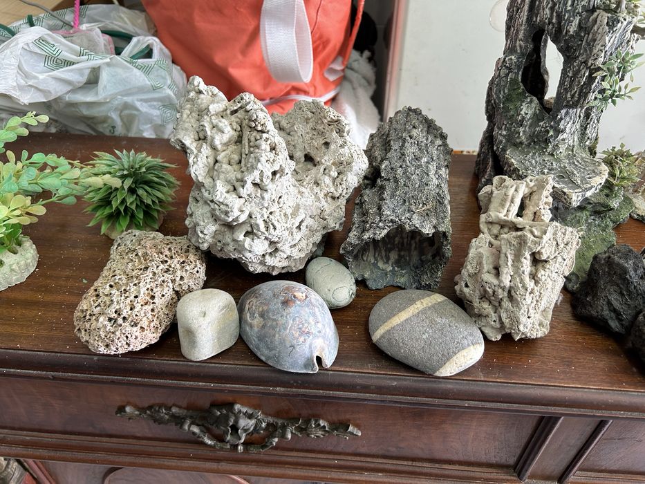 Decoração para aquarios