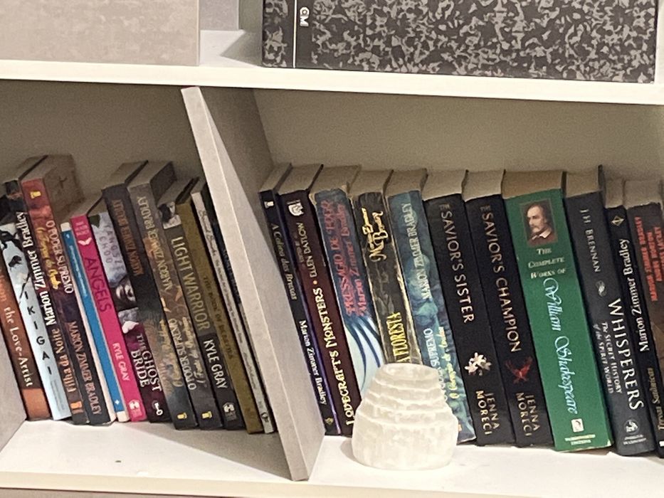 Pacote Livros Surpresa 5 livros