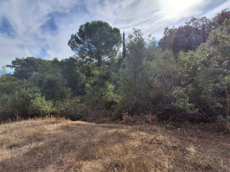 TERRENO COM Projeto de Construção Aprovado