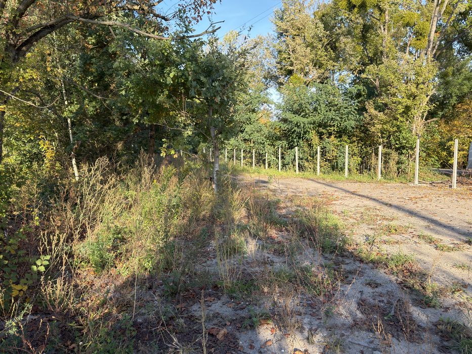 Dzialka 1666m2  w miejscowości Korytów A Żyrardów