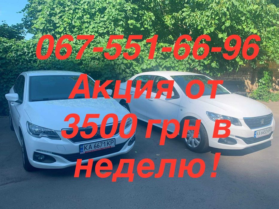 Прокат авто Peugeot 301 2019/2020 цена в сутки от 500грн!!!