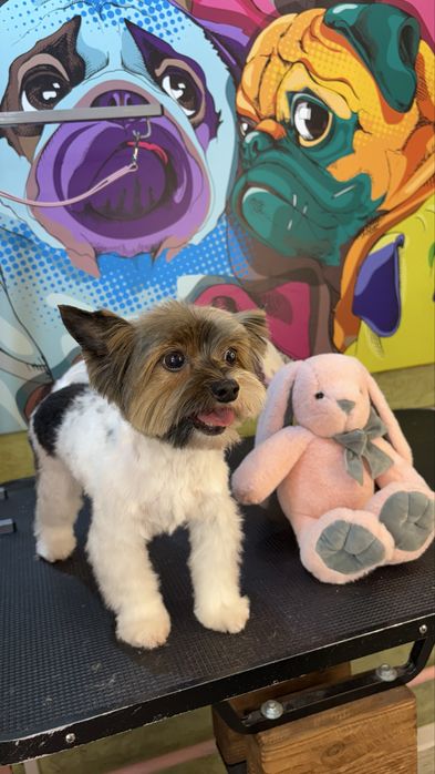 Моделі для Академії Грумінгу. Палац спорту