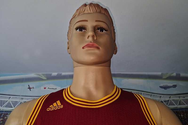 Cleveland Cavaliers Adidas NBA swingman #23 LeBron James size: M