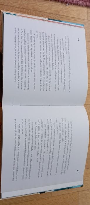 Livro a menina do búzio