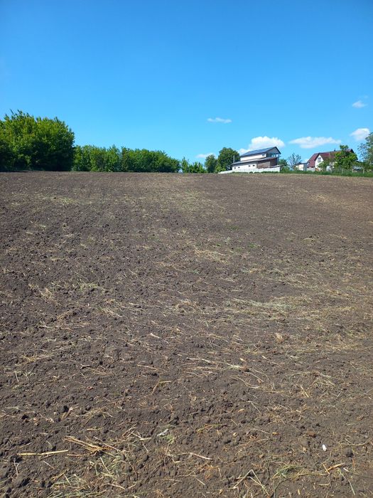 Терміновий продаж землі біля озера 33 с в Петрівці ( за Турбовом)