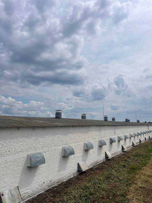 Агрокомплекс, птахофабрика