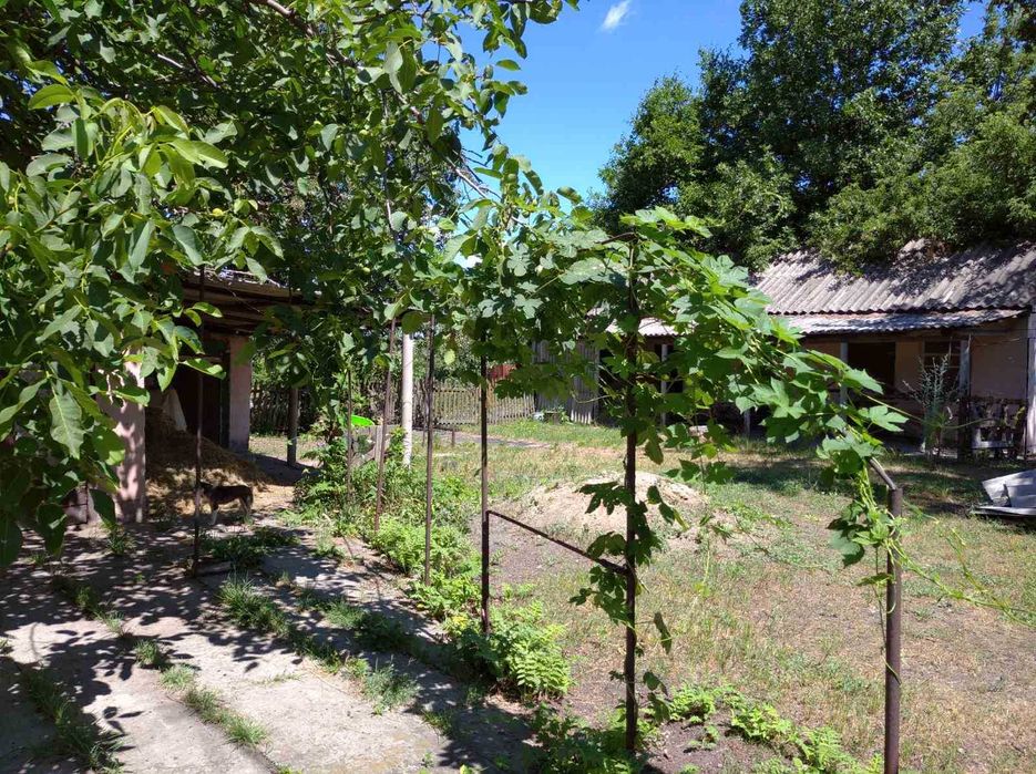 продам свой  дом  для большой семьи в центре села Лысковка