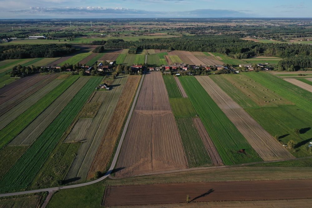 Działki Budowlane Studzianki - Widok 4