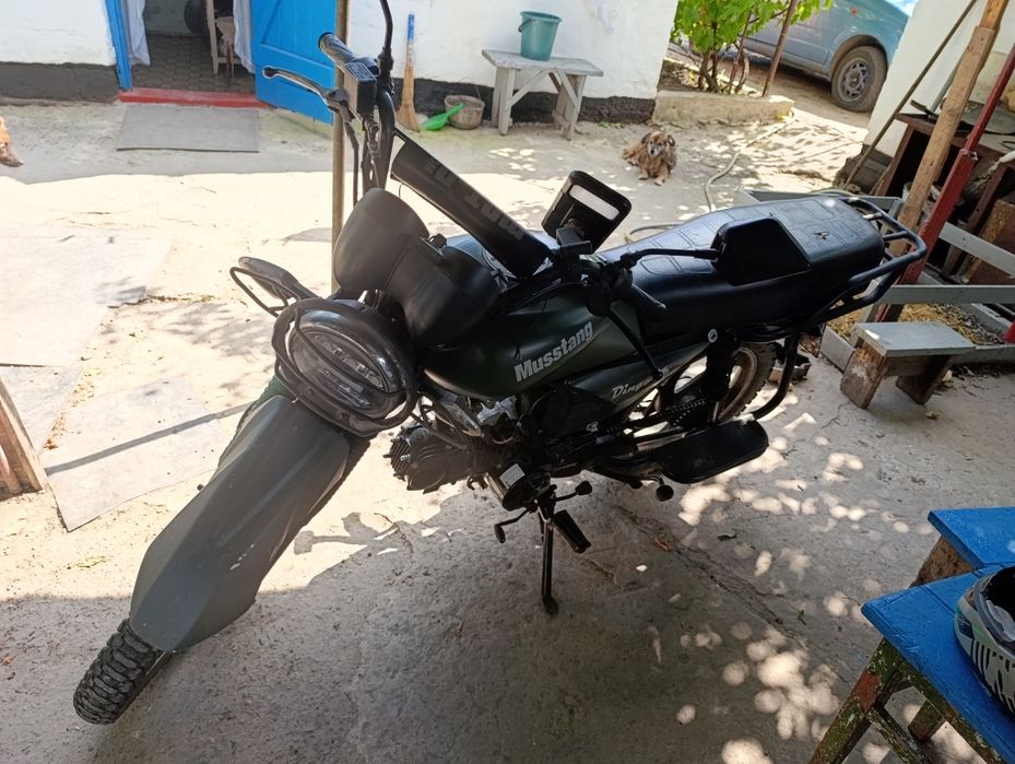 Мотоцикл Mustang dingo