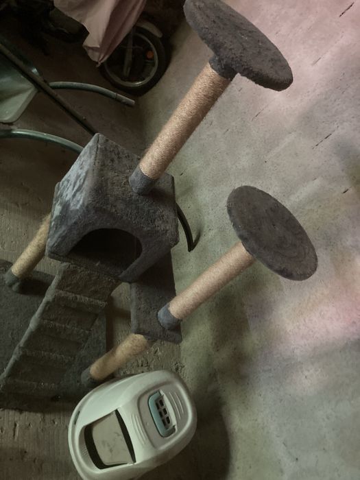 Descanso de gatos e caixa