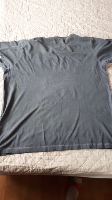 Koszulka męska Cedar woodstate xl