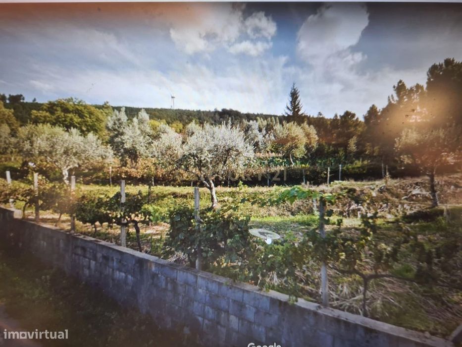 Rustic Land