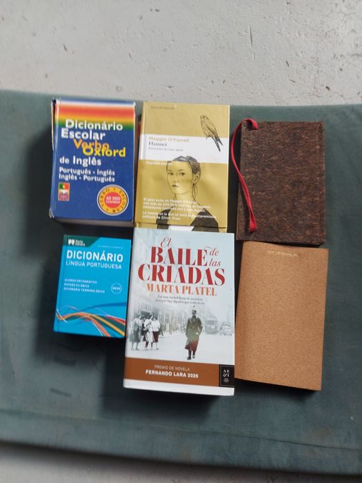 2 livros em espanhol  2 dicionários e 2  blocos de apontamentos