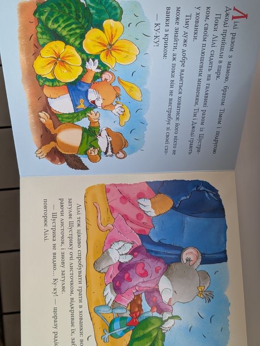 книга Мишеня Лілі