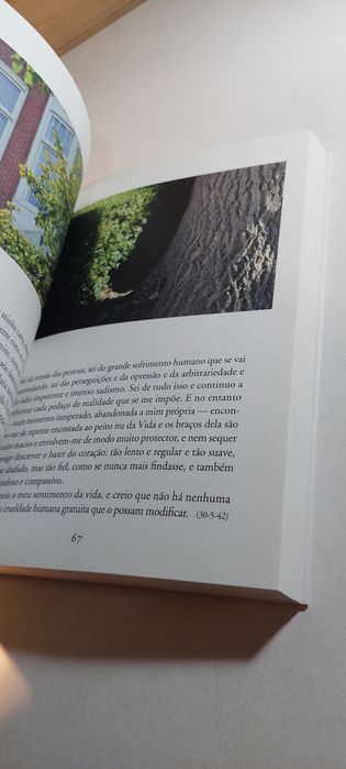 Nos Passos de Etty Hillesum - Filipe Condado, José Tolentino Mendonça