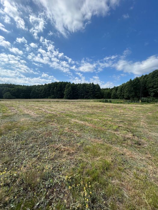 Działka budowlana 1700 m² – Osiek, powiat starogardzki – 300 m od jeziora - Widok 2