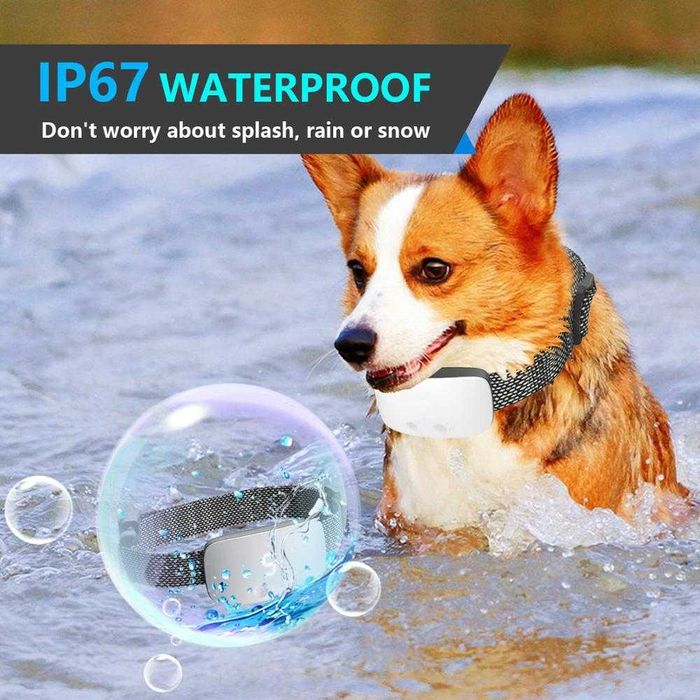 PORTES GRÁTIS Coleira Anti-Latido Som+Vibração+Choque - NOVO