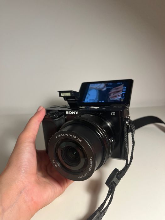 Sony A6100 + E PZ 16-50mm f/3.5-5.6 OSS II
