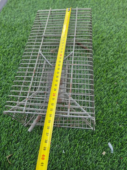 Ratoeira para ratos grandes e pequenos