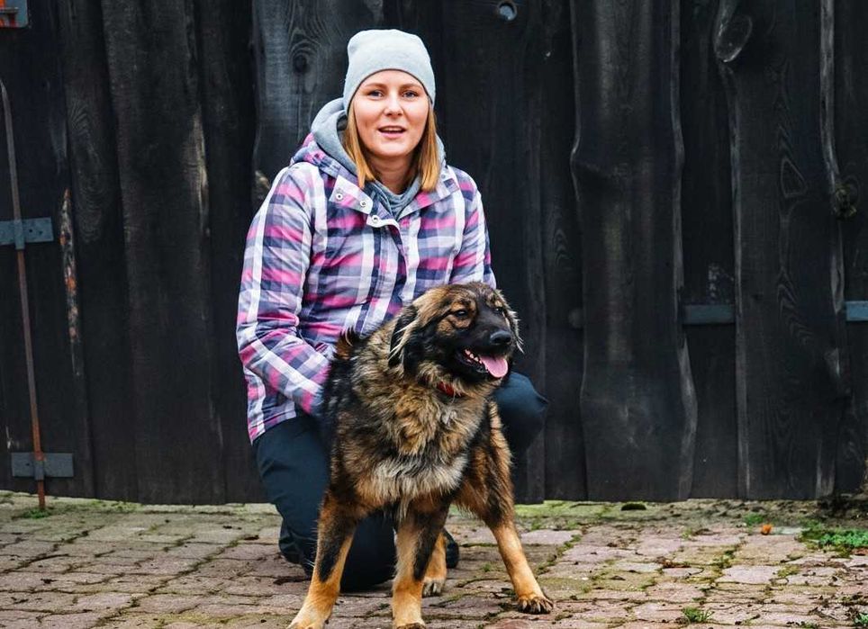 GONG - piękny, wesoły pies czeka na dom