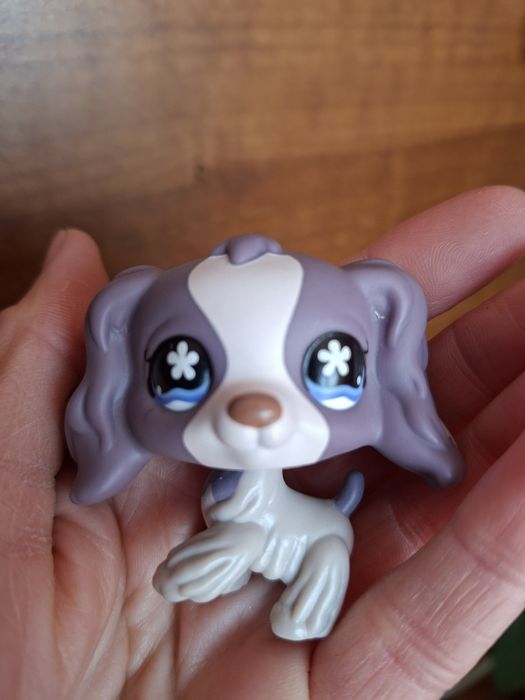 Lps pet shop piesek spaniel