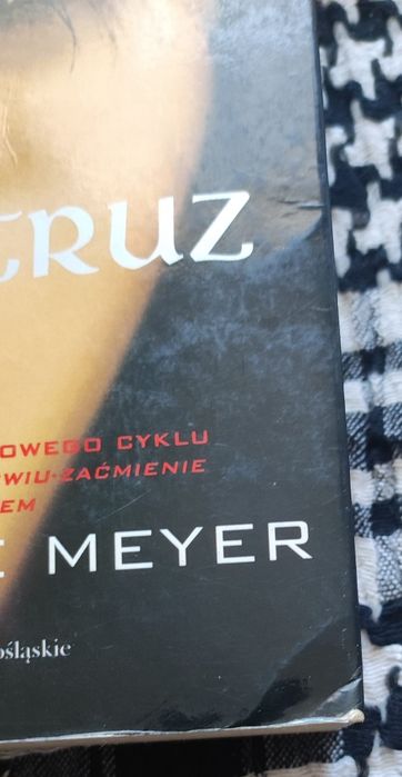 Stephanie Meyer - Intruz
