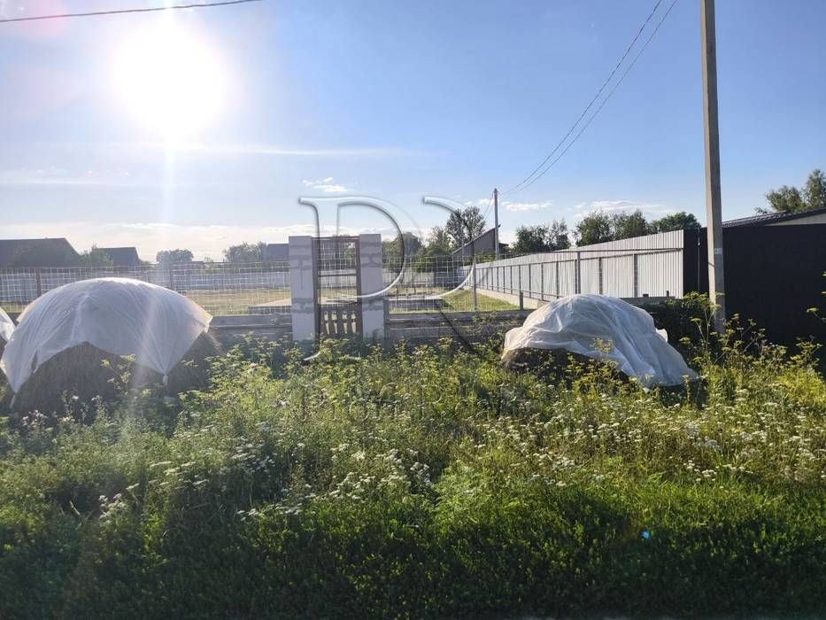 Без %. Продаж чудової земельної ділянки, правильної форми. с. Сеньківка