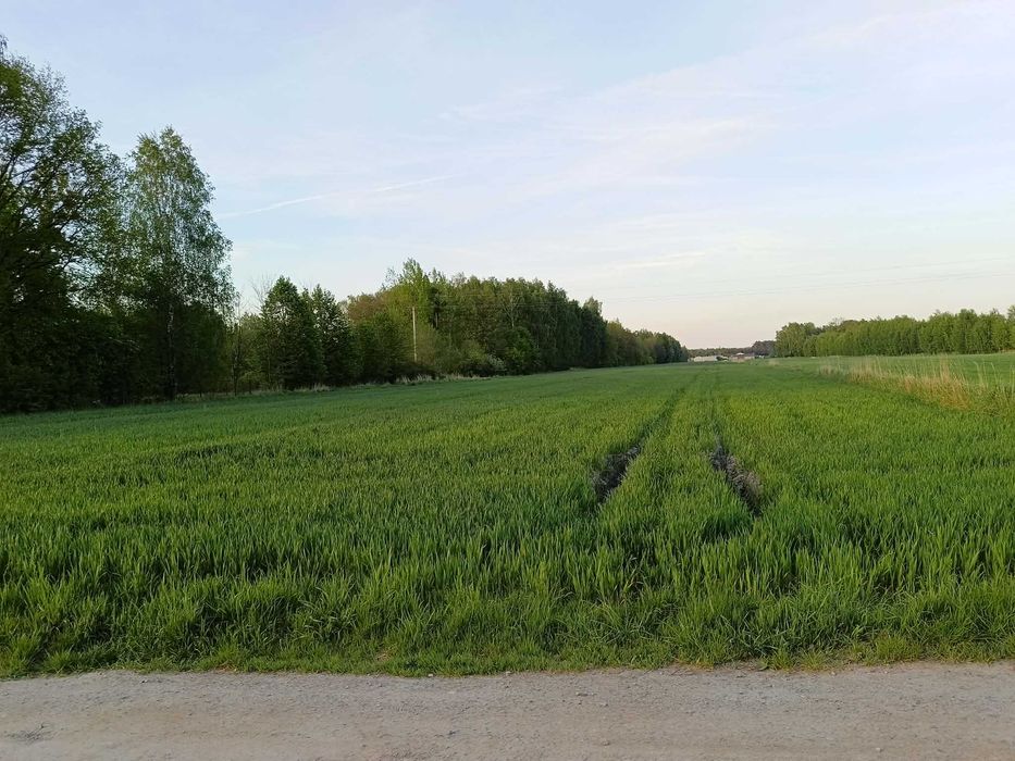 Działka budowlana na sprzedaż - Gmina Brójce, powiat łódzki wschodni