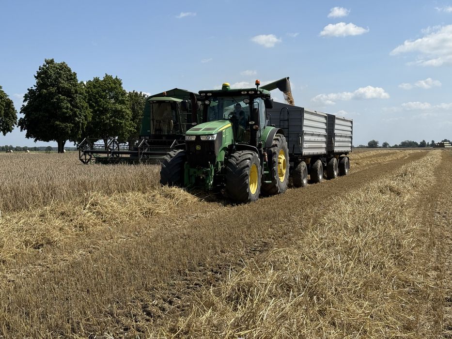 Siew MZURI Strip-till ładowarka oprysk prasowanie talerzowanie itp