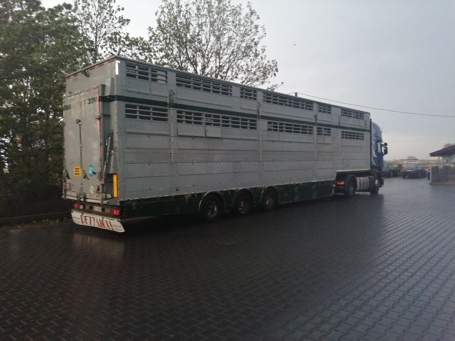 Naczepa Pezzaioli + SCANIA R450      do bydła, żywca, zwierzat