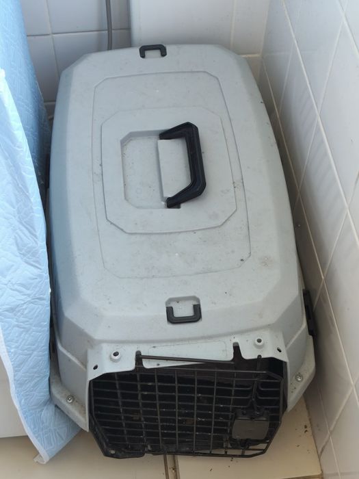 Transportadora média de animais