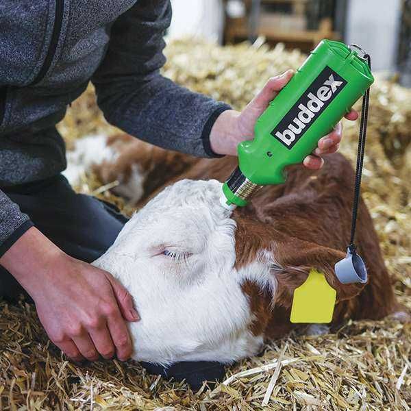 Dekornizator akumulatorowy BUDDEX, z ładowarką sieciową, Kerbl