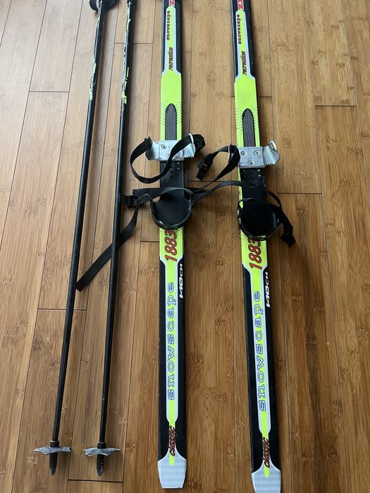 Лижі zelart дитячі