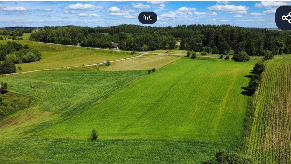 Pilnie! Działka 8.964 m² z mediami - Sidory gmina JeleniewoMazury - Widok 4