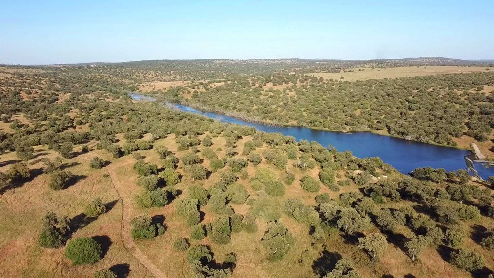 Herdade 12 ha Alentejo