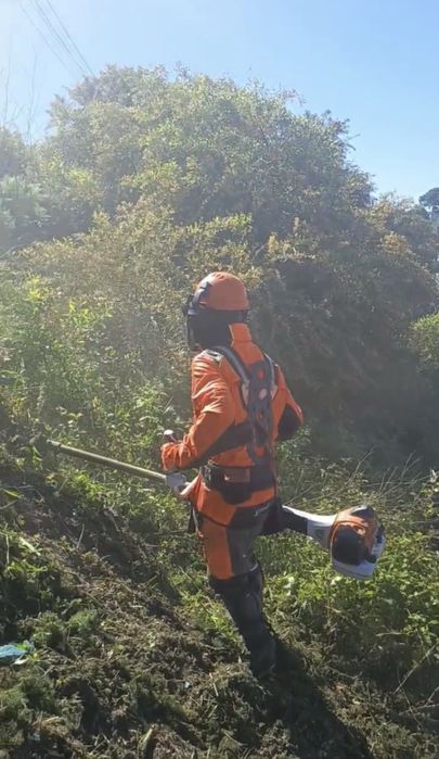 Limpeza de terrenos