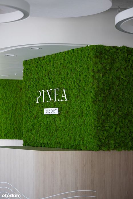 Pinea | apartament z widokiem na morze | klimatyzacja| kompleks baseny