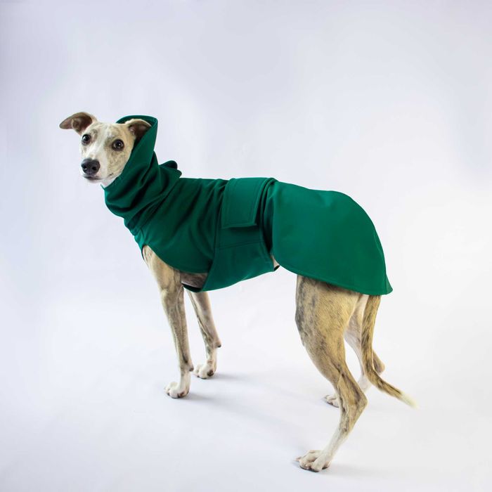 Kurtka Softshell na pieska, whippeta, charta, charcika albo na wymiar