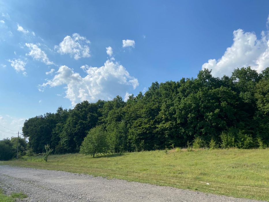 Документи готові для продажу