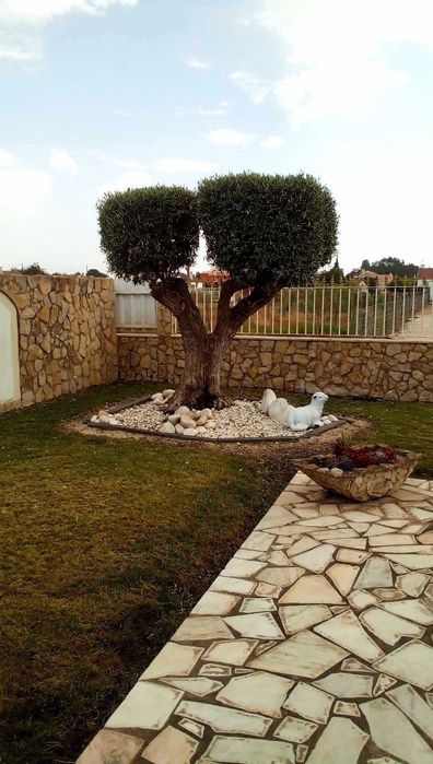 Manutençao de Jardins e espaços verdes