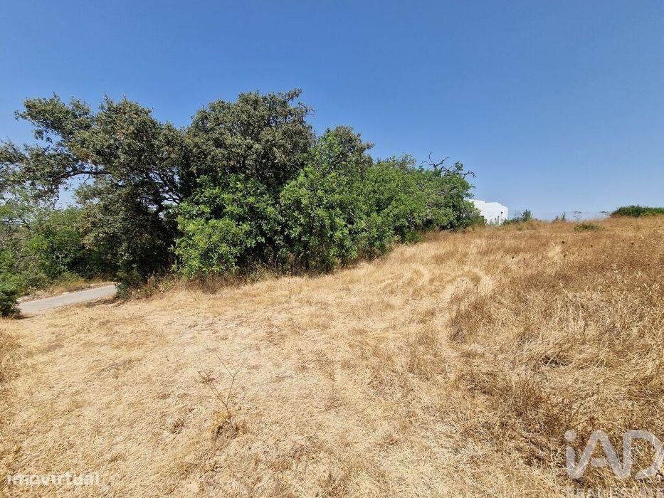 Terreno Agrícola em Santa Bárbara de Nexe