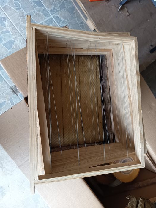 Quadros para colmeia lusitana