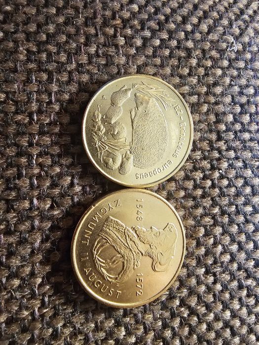 Zygmunt II August i jeż 2zl ng kopie kolekcjonerskie