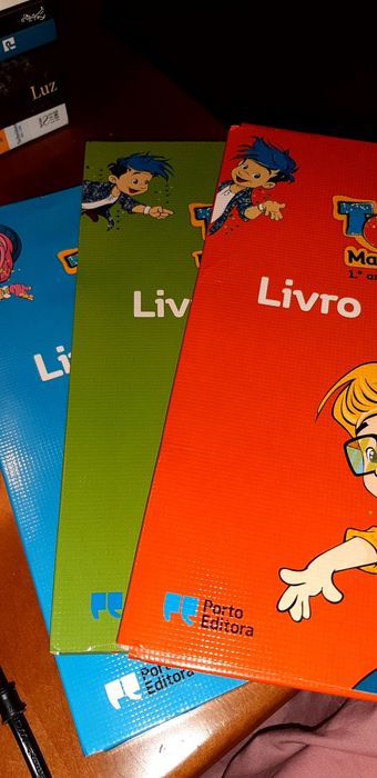 Livro fichas Novo 1 ANO TOP estudo do meio