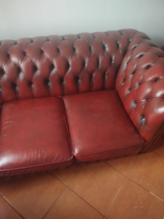 Chesterfield angielski